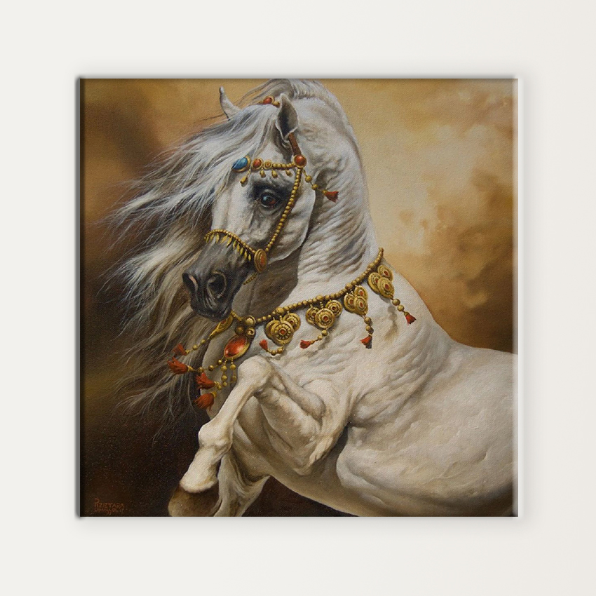 Beautiful white horse with golden bridle MUR Gallery